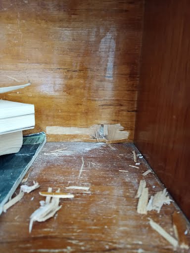 Bullet damage inside a home, photograph one